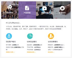 营销自动化 邮件营销 短信营销 edm营销 focussend全球领先的智能化营销服务商